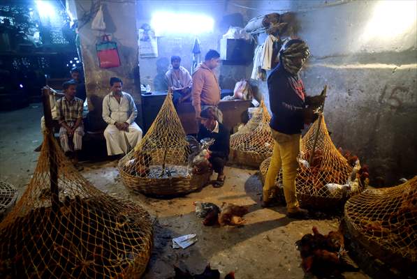 Chicken wholesale market in India