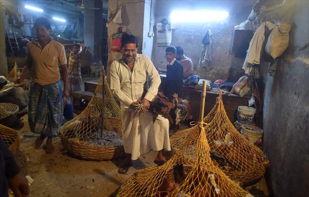 Chicken wholesale market in India