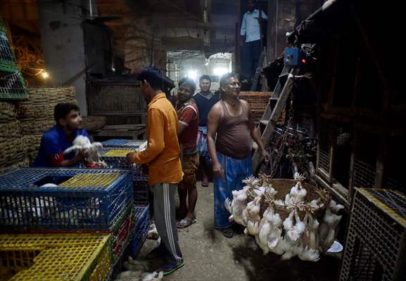 Chicken wholesale market in India