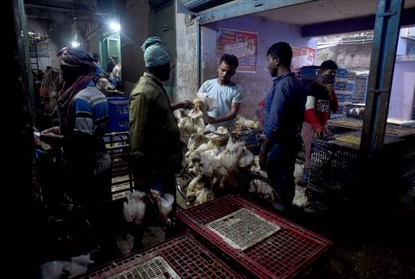 Chicken wholesale market in India