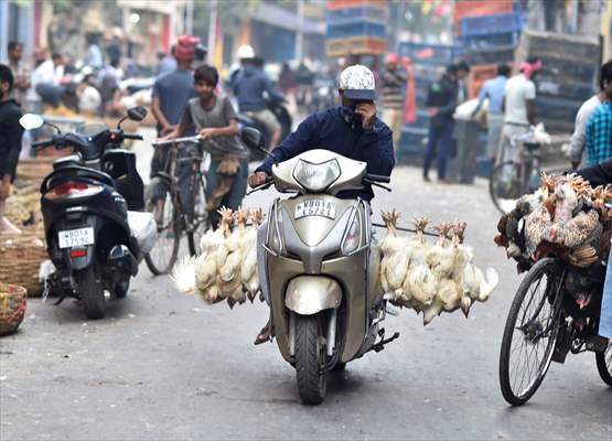 Chicken wholesale market in India
