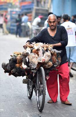 Chicken wholesale market in India