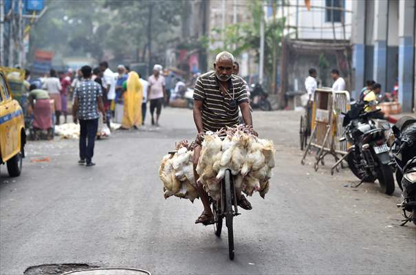 Chicken wholesale market in India