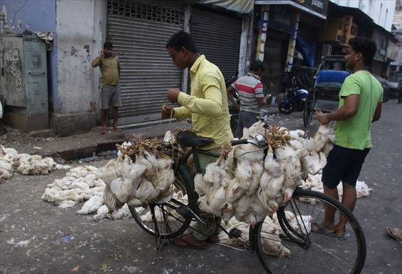 Chicken wholesale market in India