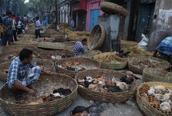 Chicken wholesale market in India