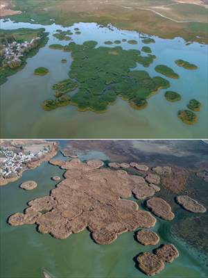 Under water areas turned into land after withdrawal of water in Lake Van