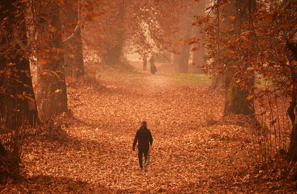 Autumn season in Kashmir