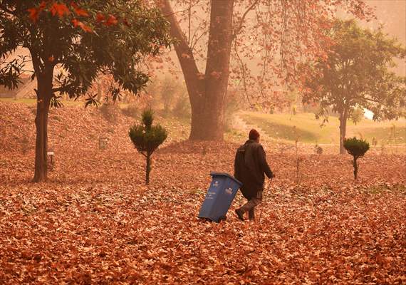 Autumn season in Kashmir