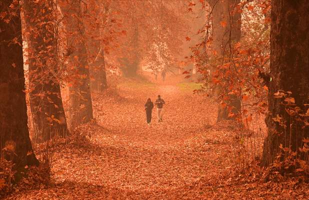 Autumn season in Kashmir