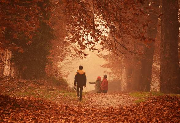 Autumn season in Kashmir