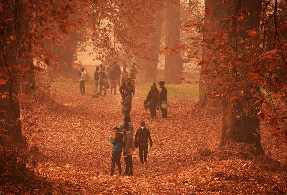 Autumn season in Kashmir