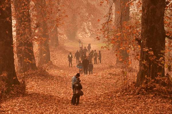 Autumn season in Kashmir