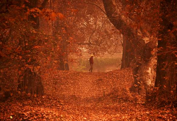 Autumn season in Kashmir