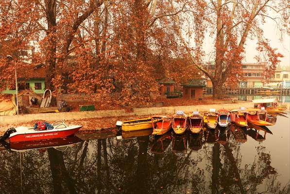 Autumn season in Kashmir