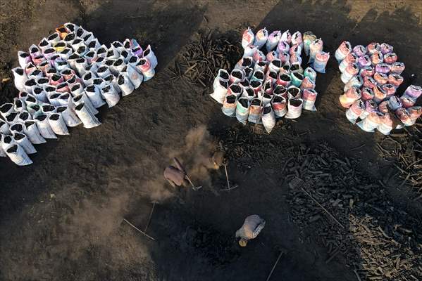 Production of charcoal from oak wood in Turkey's Edirne