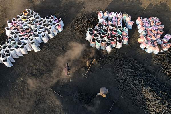 Production of charcoal from oak wood in Turkey's Edirne