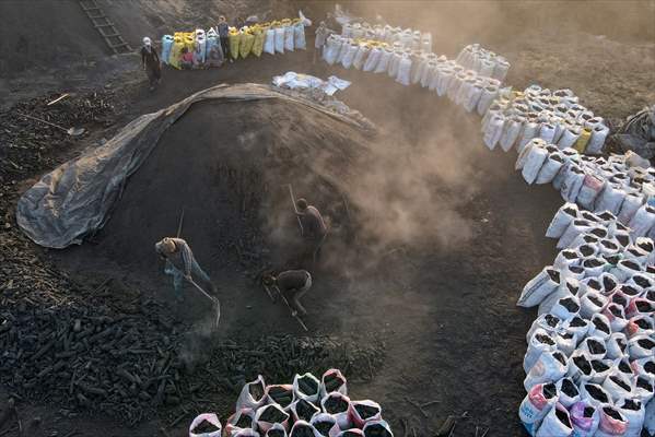 Production of charcoal from oak wood in Turkey's Edirne