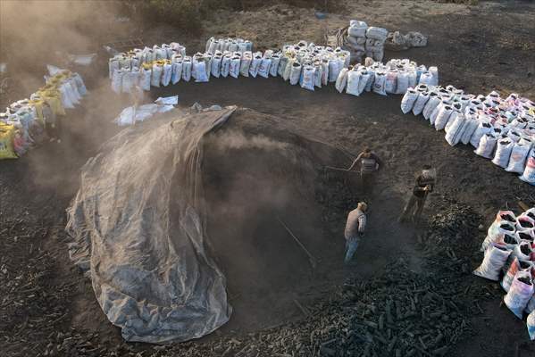 Production of charcoal from oak wood in Turkey's Edirne