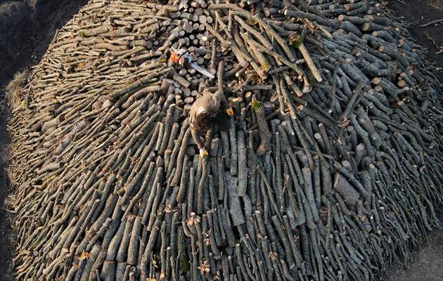 Production of charcoal from oak wood in Turkey's Edirne