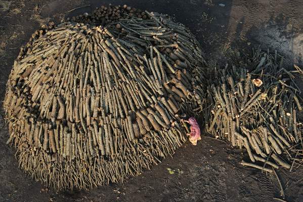 Production of charcoal from oak wood in Turkey's Edirne