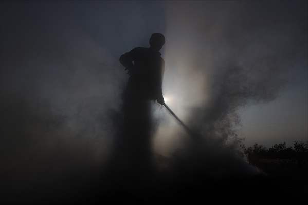 Production of charcoal from oak wood in Turkey's Edirne