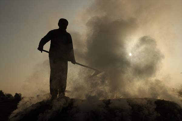 Production of charcoal from oak wood in Turkey's Edirne