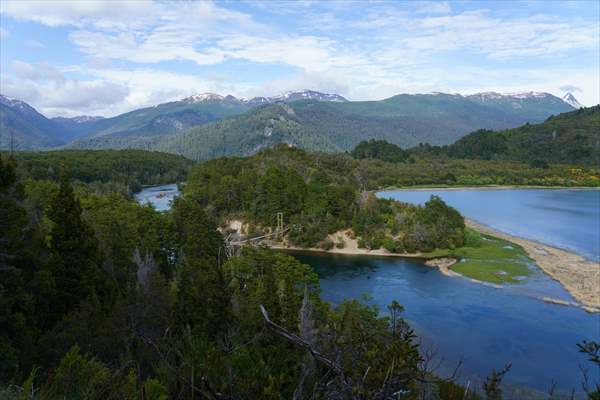 Argentina's 2,600-year-old tree "El Alerce Abuelo"