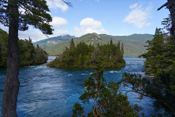 Argentina's 2,600-year-old tree "El Alerce Abuelo"