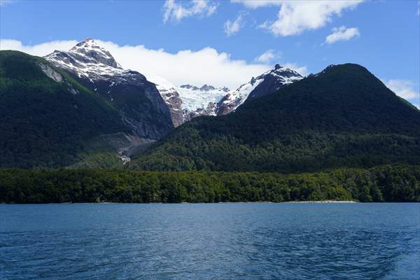 Argentina's 2,600-year-old tree "El Alerce Abuelo"