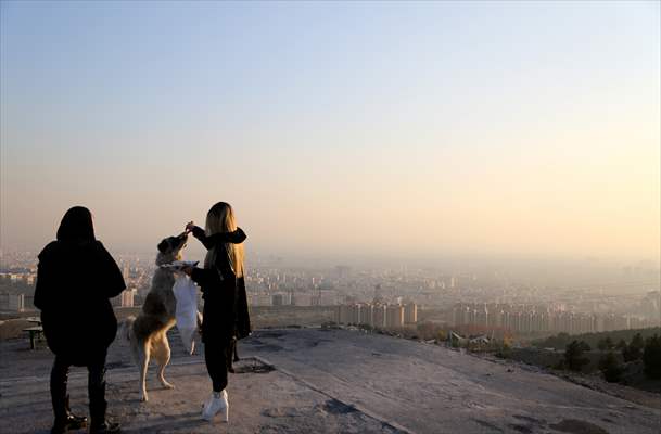 Air pollution in Tehran