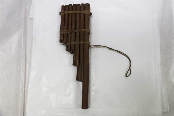 "Mummy of Cajamarquilla"