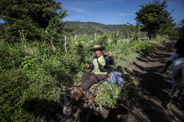 Coloso: A town that almost disappeared after a long conflict, bet for Ecotourism in Colombia