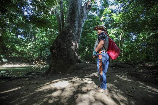 Coloso: A town that almost disappeared after a long conflict, bet for Ecotourism in Colombia