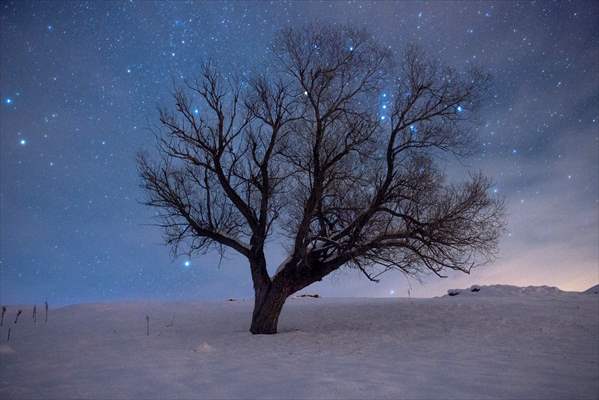 Ovacik district of Turkey's Tunceli at night