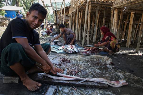 Dried fish production in Rakhine State, Myanmar