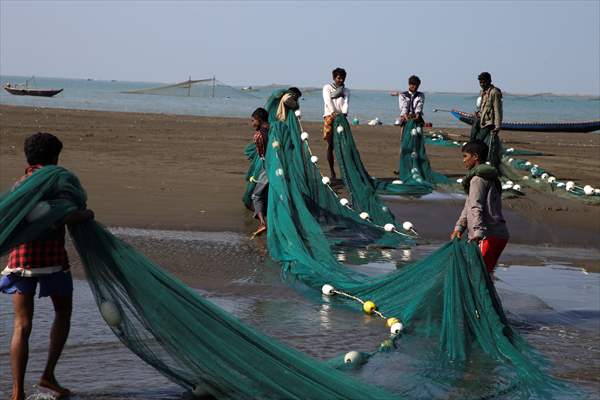 Dried fish production in Rakhine State, Myanmar