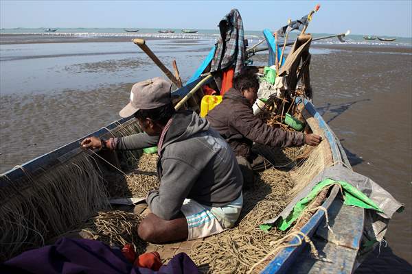 Dried fish production in Rakhine State, Myanmar