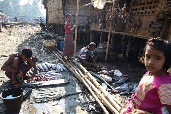 Dried fish production in Rakhine State, Myanmar