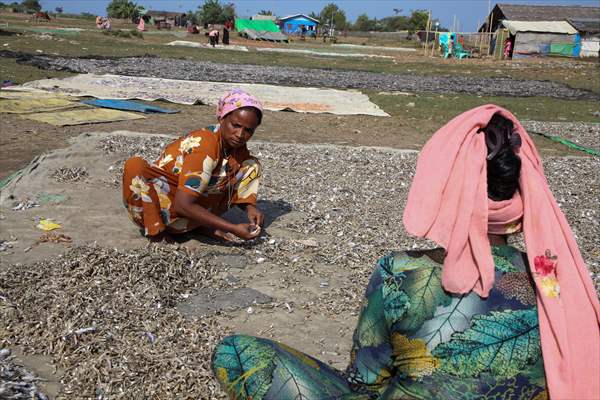 Dried fish production in Rakhine State, Myanmar