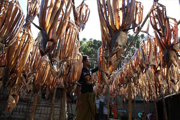 Dried fish production in Rakhine State, Myanmar