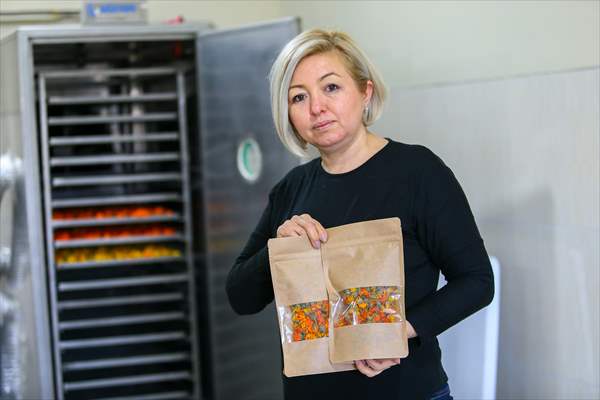 Medicinal plant "pot marigold" production in Izmir