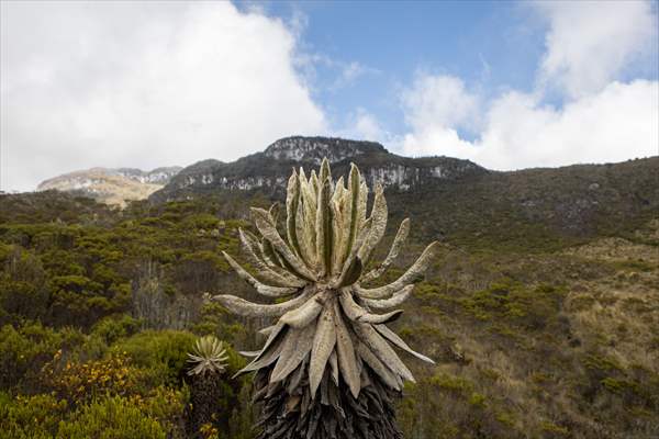 Tourists ascend to the hot springs lagoons of the Nevado del Rui