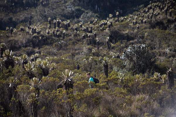 Tourists ascend to the hot springs lagoons of the Nevado del Rui