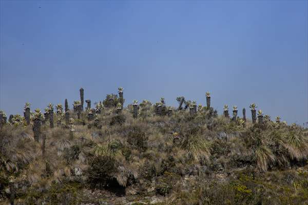 Tourists ascend to the hot springs lagoons of the Nevado del Rui