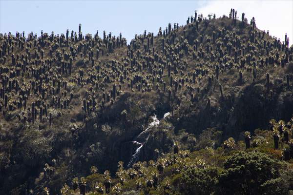 Tourists ascend to the hot springs lagoons of the Nevado del Rui