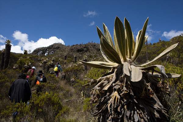 Tourists ascend to the hot springs lagoons of the Nevado del Rui