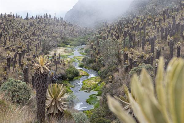 Tourists ascend to the hot springs lagoons of the Nevado del Rui