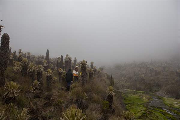 Tourists ascend to the hot springs lagoons of the Nevado del Rui