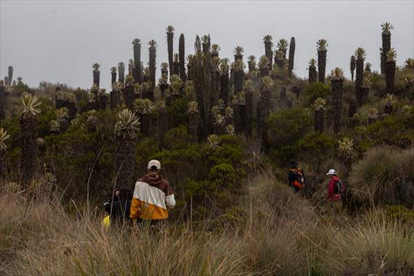 Tourists ascend to the hot springs lagoons of the Nevado del Rui