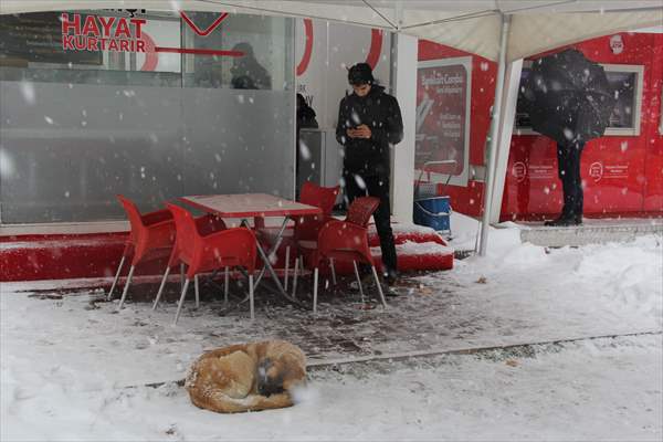 Malatya kent merkezinde kar kalınlığı 38 santimetreye ulaştı